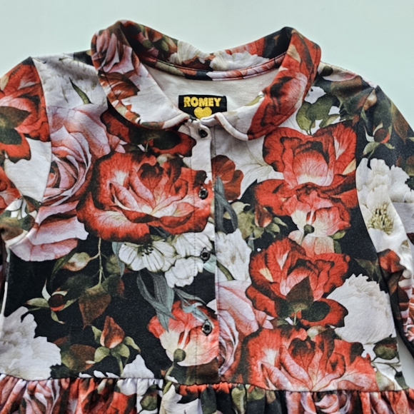 Romey Loves Lulu Red Roses Floral Printed Holiday Dress - Size 10 - Picture 2 of 7